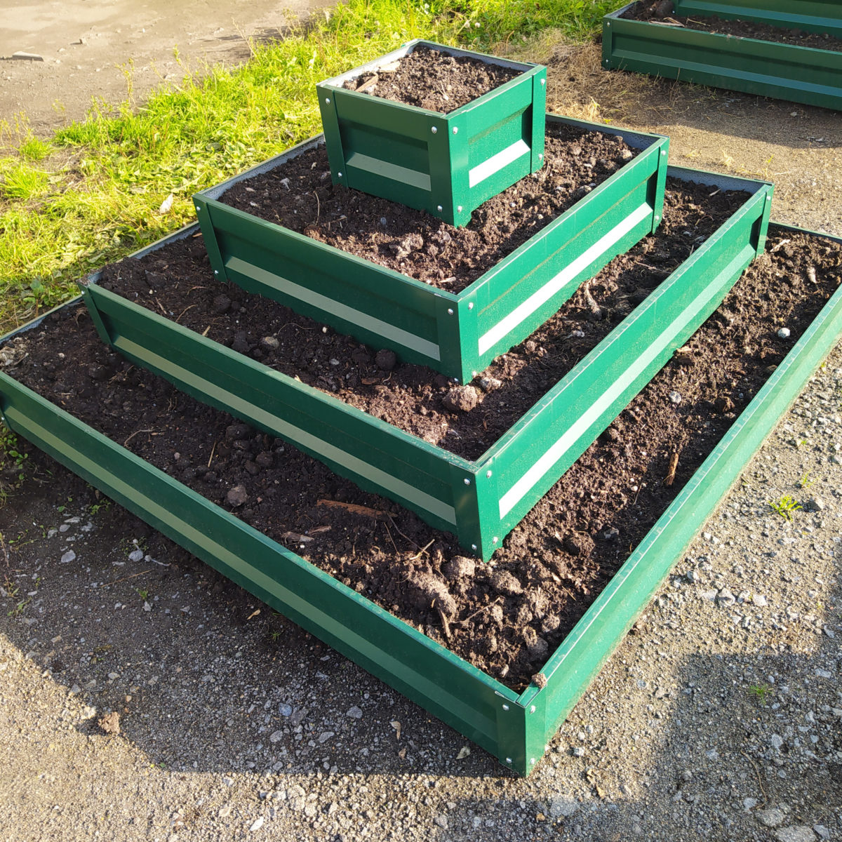 cvet-6005