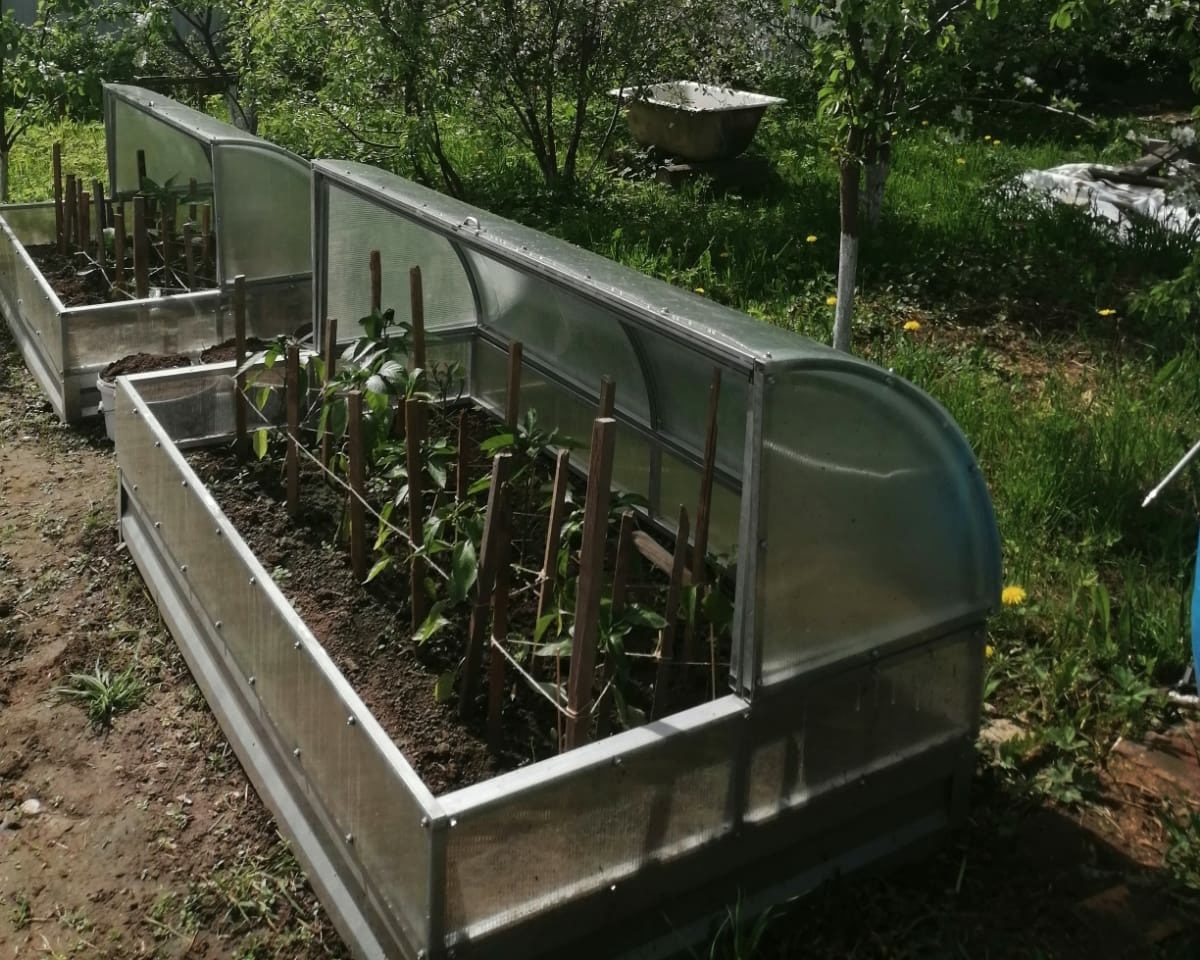 IMG-20220701-WA0004